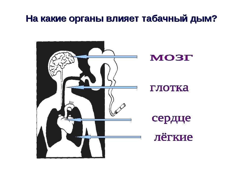 Вред курения схема